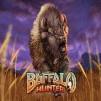 game logo by Nolimit City on casinospacehills.com